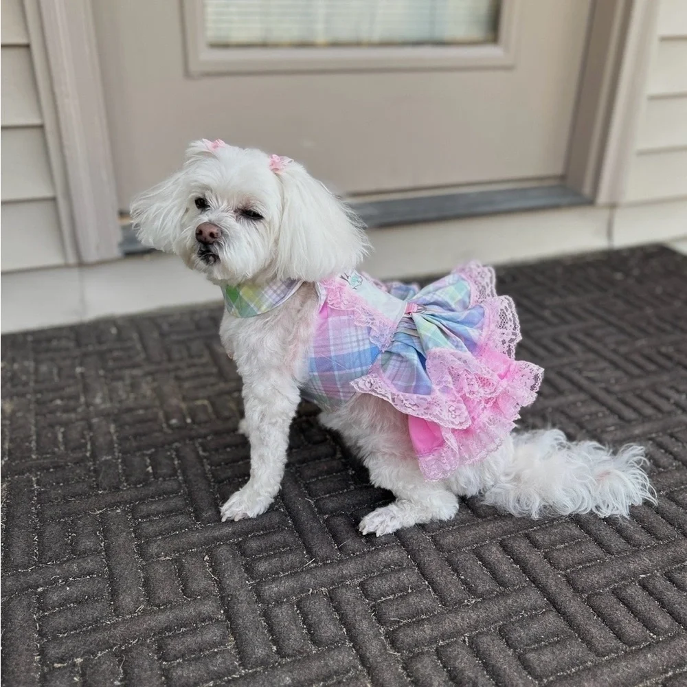 Custom made Easter Dress